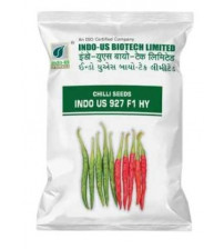 Chilli / Hot Pepper Indo US 927